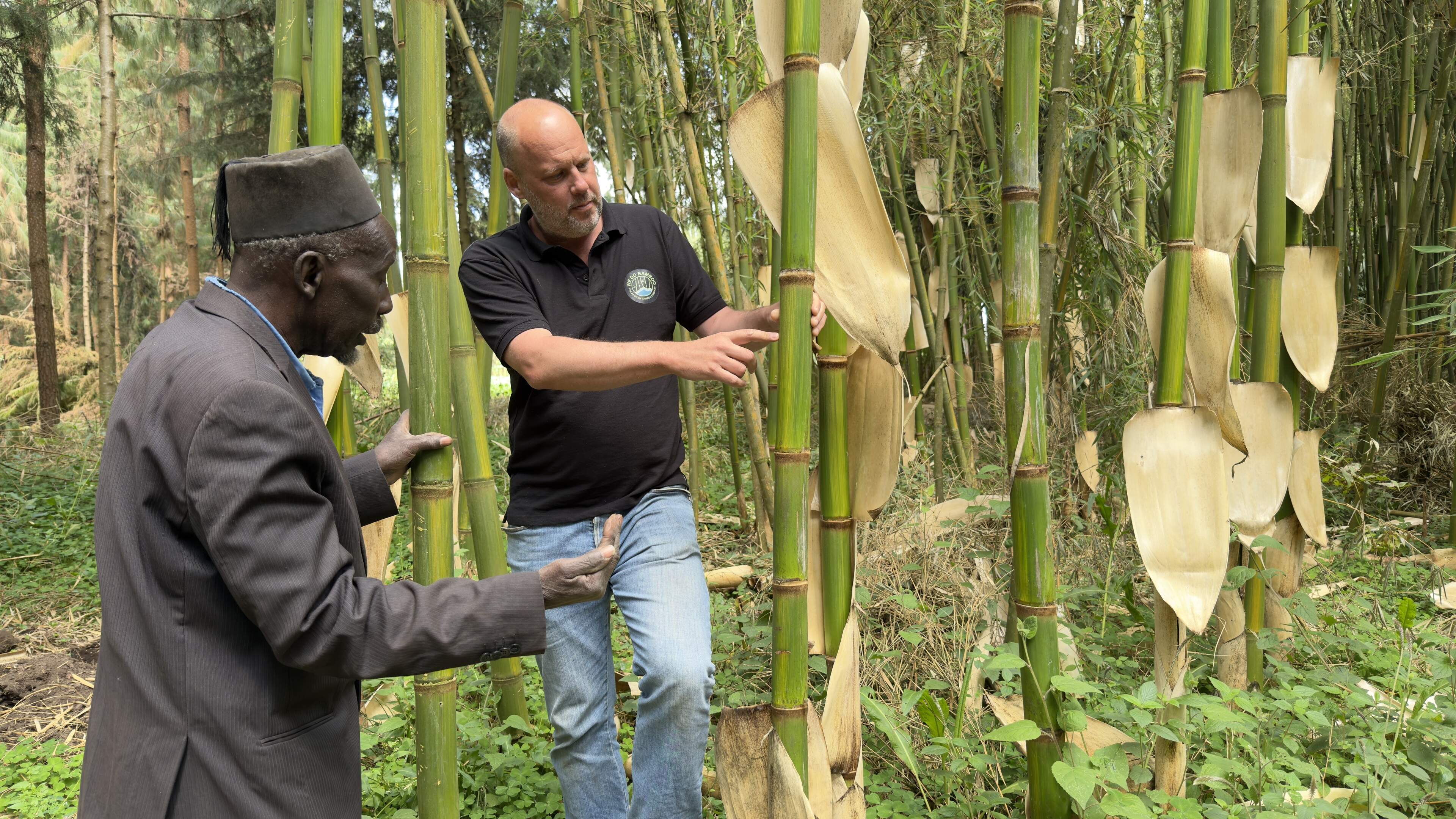 Arthur (49) was oorlogscorrespondent en is nu ’bamboebaron’ van Kenia: ’Ik dacht even, wat heb ik nou gedaan?’